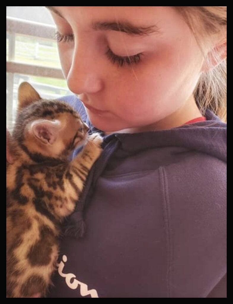 Young girl holding a bengal kitten